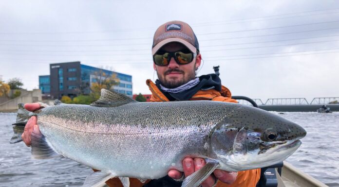 803 | Michigan Salmon and Steelhead with Christian Gradowski – TroutRoutes, Great Lakes Michigan Salmon and Steelhead