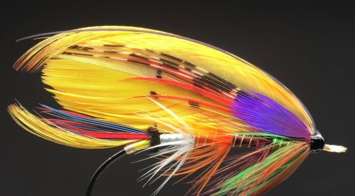 801 | Tying Classic Salmon Flies with Tony Smith