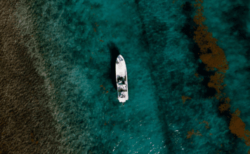 797 | Fly Fish Belize on Your Terms with Mary Alice Hoppe from Iguana House fly fish belize