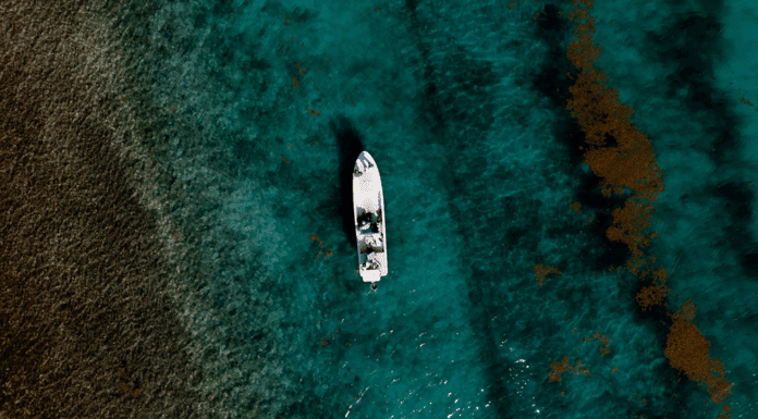 797 | Fly Fish Belize on Your Terms with Mary Alice Hoppe from Iguana House fly fish belize