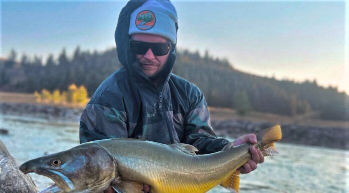 819 | Kelly Reaume on Backcountry Skinz – Neoprene Leggings, Fly Fishing Calgary Alberta, Bull Trout