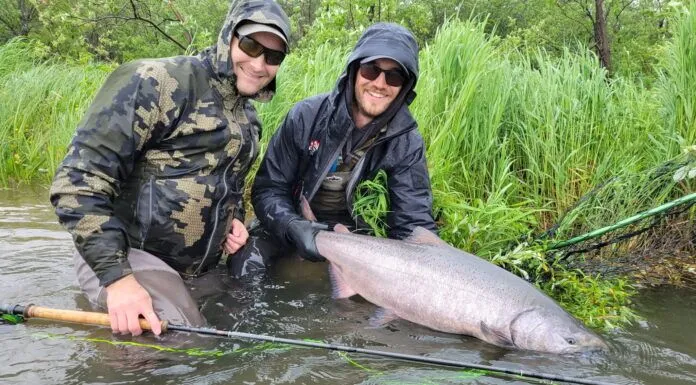 866 | Swinging for Alaska Chinook and Great Lakes Browns with Bailey Adamavich