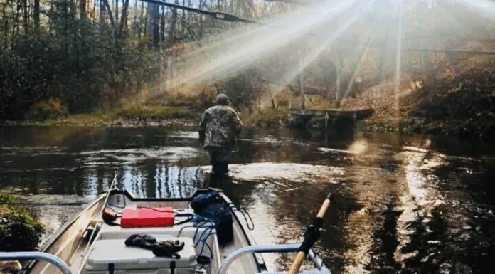 869 | Beyond the Giveaway: Missouri River Dry Fly Fishing with Eric Johnson