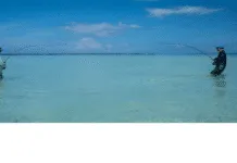 882B | Understanding Fly Line Design with Zach McKnight