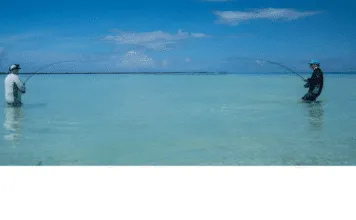 882B | Understanding Fly Line Design with Zach McKnight