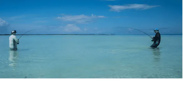 882B | Understanding Fly Line Design with Zach McKnight