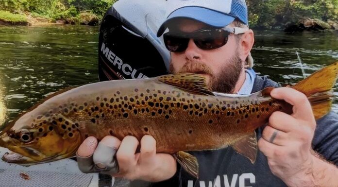 884 | How to Combine Tight Line Nymphing and Streamer Fishing with Brian DeLoach