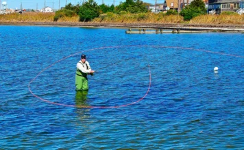 897 | The Science of a Perfect Fly Cast with Ed Jaworowski Ed Jaworowski - circle spey