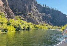 903 | Fishing the Trico Hatch and the Missouri River Dry Fly School with Craig & Warren DeMark fishing the trico hatch