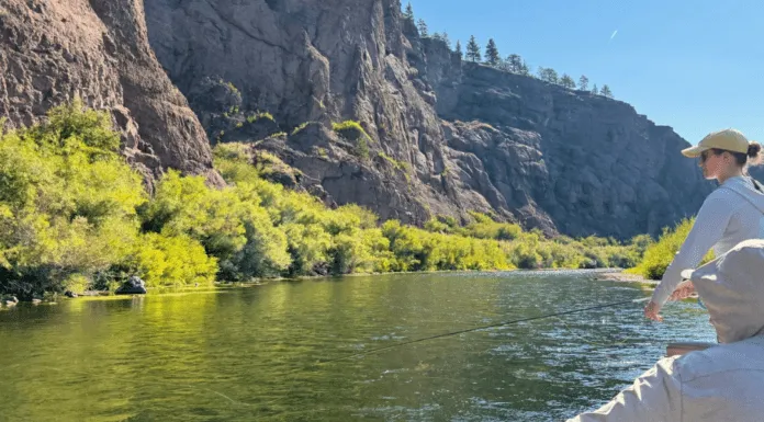 903 | Fishing the Trico Hatch and the Missouri River Dry Fly School with Craig & Warren DeMark fishing the trico hatch
