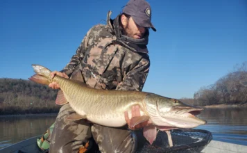 Hunting with a Fly #1 | Fly Fishing Like a Hunter with Joe Goodspeed Fly angler Joe Goodspeed holding a large muskie in a landing net while fishing from a boat.