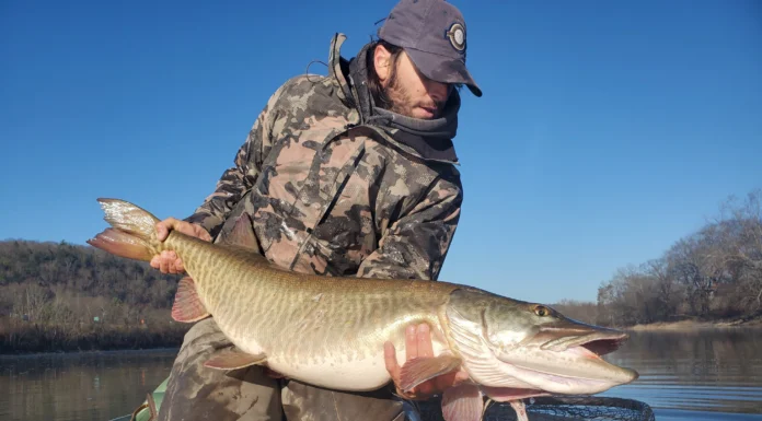 Hunting with a Fly #1 | Fly Fishing Like a Hunter with Joe Goodspeed Fly angler Joe Goodspeed holding a large muskie in a landing net while fishing from a boat.