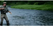 Driftless Fly Fishing Guide: Small Stream Secrets for Big Trout with John Van Vliet