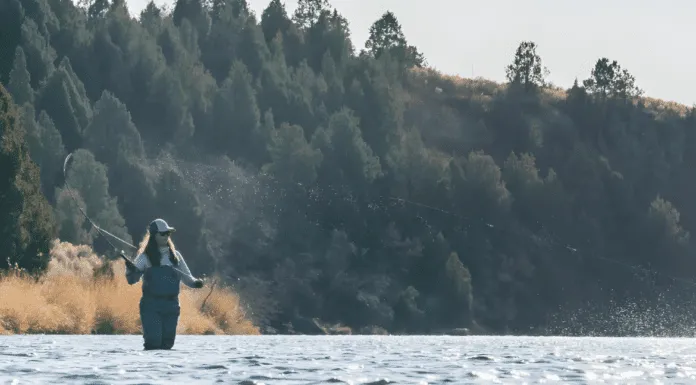 909 | The Ultimate Guide to Trout Food: Mayflies, Stoneflies & More with Maggie Heumann