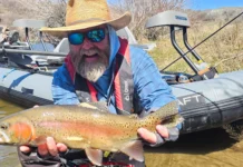 How to Find Trout and Turn Refusals Into Eats: Guide Tips from the Provo River with Mike O’Brien how to find trout