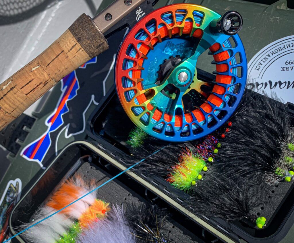 4000 size reel for surf fishing ELIMINATOR SPINNING REEL – Daiwa US