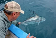 920 | Fly Fishing Baja and Chasing Roosterfish with John Hunt from Moccasin Fly Club fly fishing baja