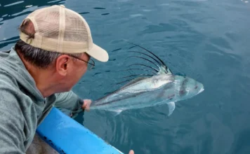 920 | Fly Fishing Baja and Chasing Roosterfish with John Hunt from Moccasin Fly Club fly fishing baja