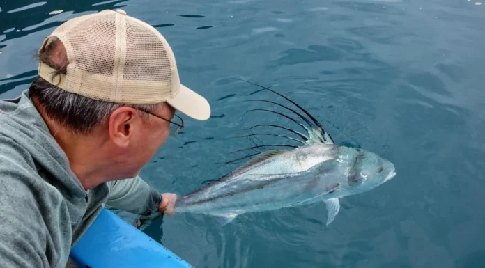 920 | Fly Fishing Baja and Chasing Roosterfish with John Hunt from Moccasin Fly Club fly fishing baja