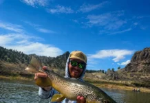 Dry Fly Fishing Montana with Sean McLendon from Montana Fly Fishing Lodge dry fly fishing montana