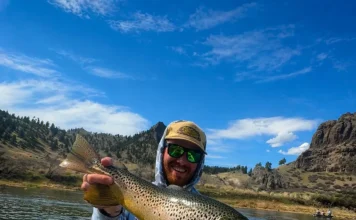 Dry Fly Fishing Montana with Sean McLendon from Montana Fly Fishing Lodge dry fly fishing montana