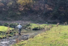 928 | The Divot, Pivot, and Twist: Dry Dropper Fishing Beyond the Basics with Jason Randall