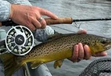 Why Less Gear Catches More Fish with Chris Teas and Jeff Ditsworth of Pescador on the Fly pescador on the fly