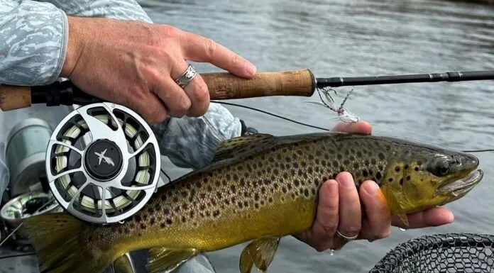 Why Less Gear Catches More Fish with Chris Teas and Jeff Ditsworth of Pescador on the Fly pescador on the fly