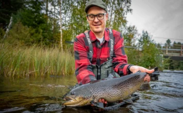 935 | Brown Trout Fly Fishing in Finland with Jani Himanko from Kellankoski Lodge brown trout fly fishing