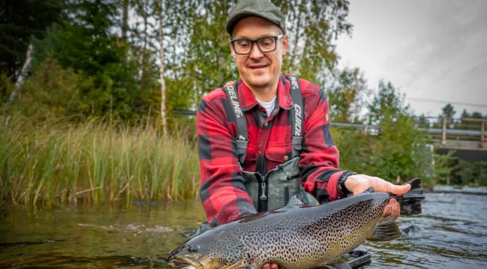 935 | Brown Trout Fly Fishing in Finland with Jani Himanko from Kellankoski Lodge brown trout fly fishing