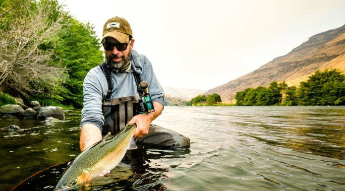 WFS 206 – Gink and Gasoline with Louis Cahill gink and gasoline