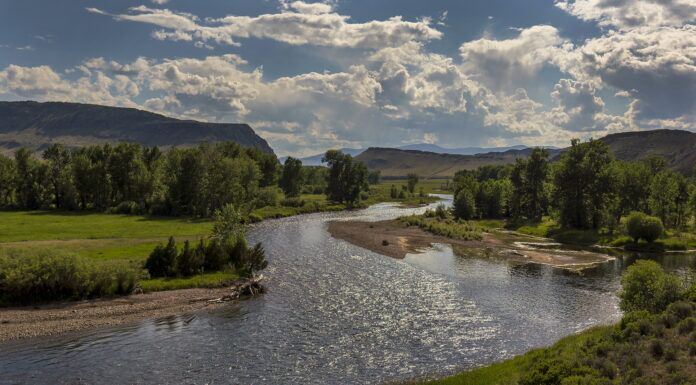742 | Saving the Big Hole River with Brian Wheeler: Trout Declines, Water Quality & Conservation Efforts big hole river
