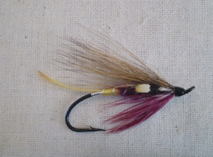 fly fishing for trout