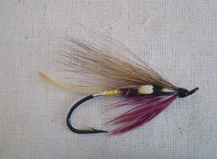 fly fishing for trout