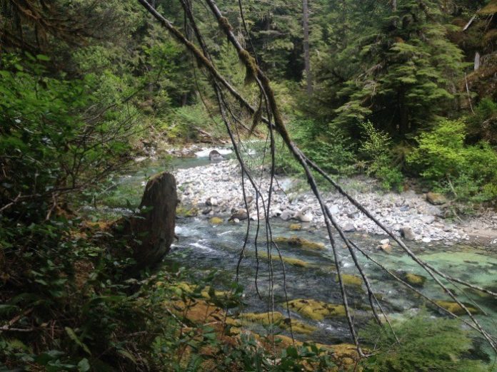 fly fishing terminology