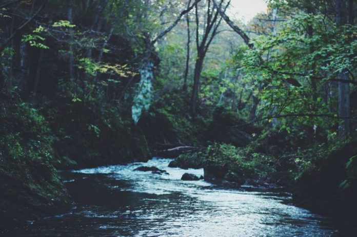 epic fly fishing