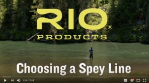 swinging flies for steelhead