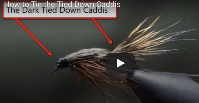 tied down caddis