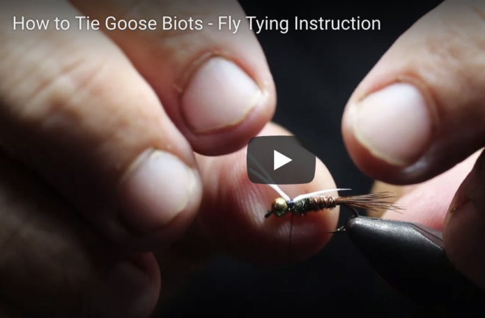 goose biots