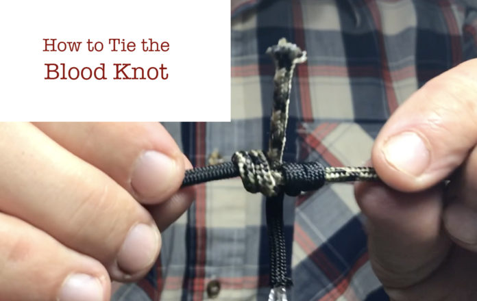 blood knot