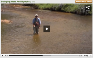 wet fly swing