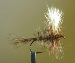 adams dry fly