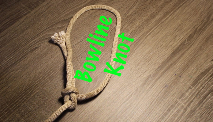 bowline knot