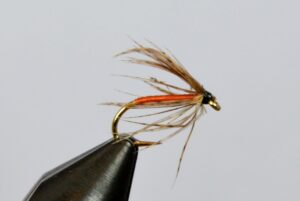 partridge and orange