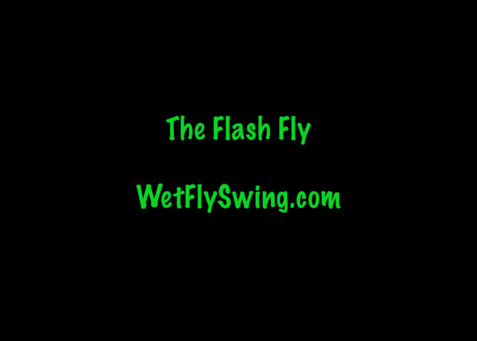 flash fly
