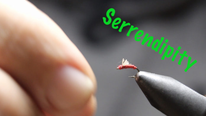 serrendipity