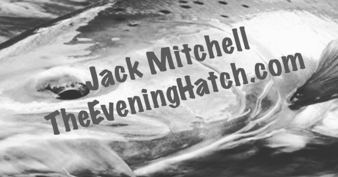 jack mitchell steelhead fishing