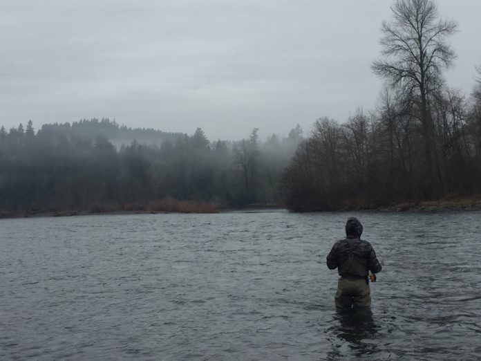 steelhead holding water