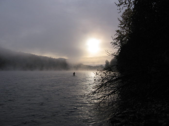 how to step through a run