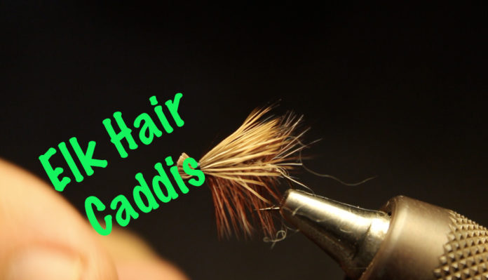 elk hair caddis